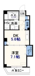 アミティエ7の物件間取画像